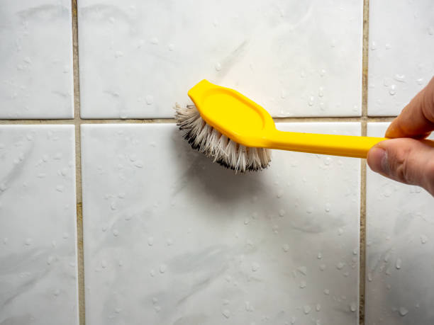 Best Bathroom Mold Remediation in Lopezville, TX